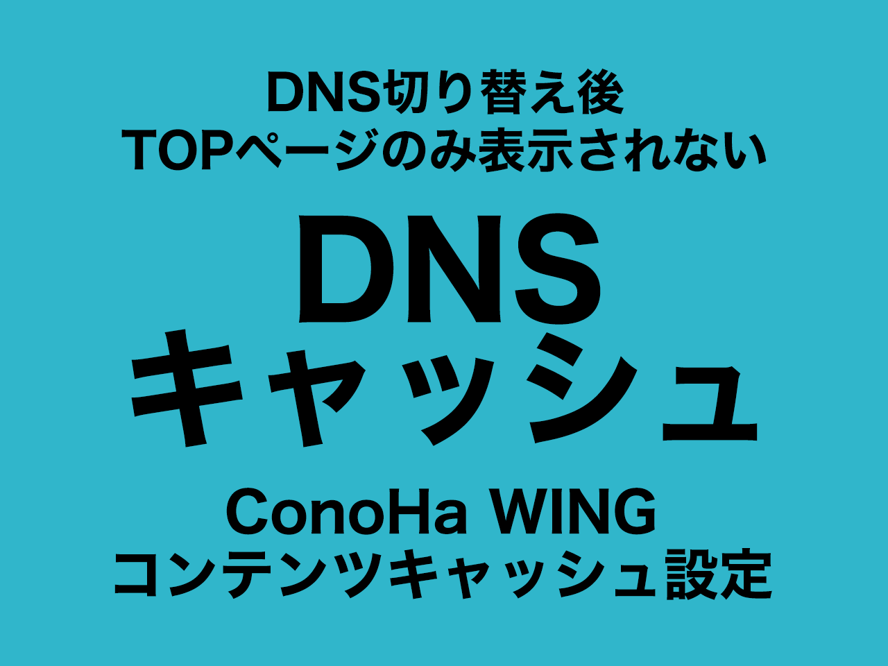 DNS･キャッシュ：Conoha WINGコンテンツキャッシュとの因果関係